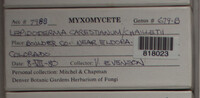 Image Associated With the Occurence